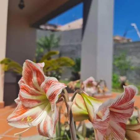 Casa Da Portada Seixal (Madeira)