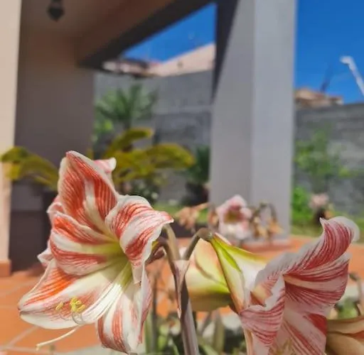 Casa Da Portada סיישאו